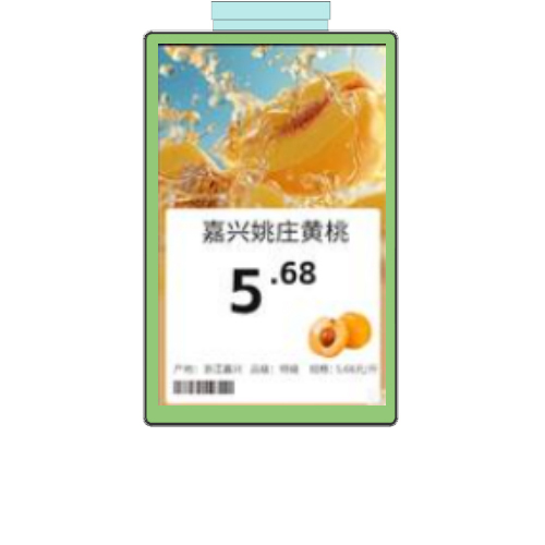 10.1英寸 Lcd彩屏